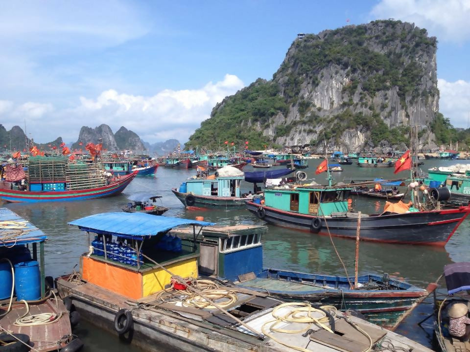 How to Not Get Scammed or Robbed in Vietnam