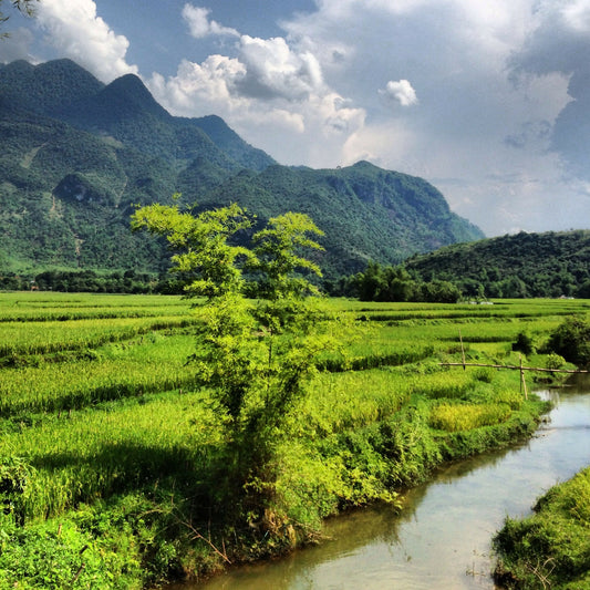 Off The Beaten Path: Vietnam